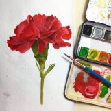Carnation Watercolour Challenge by Tania Scrapbook House