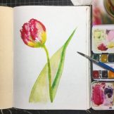 Tulip Watercolour Challenge by Tania Scrapbook House